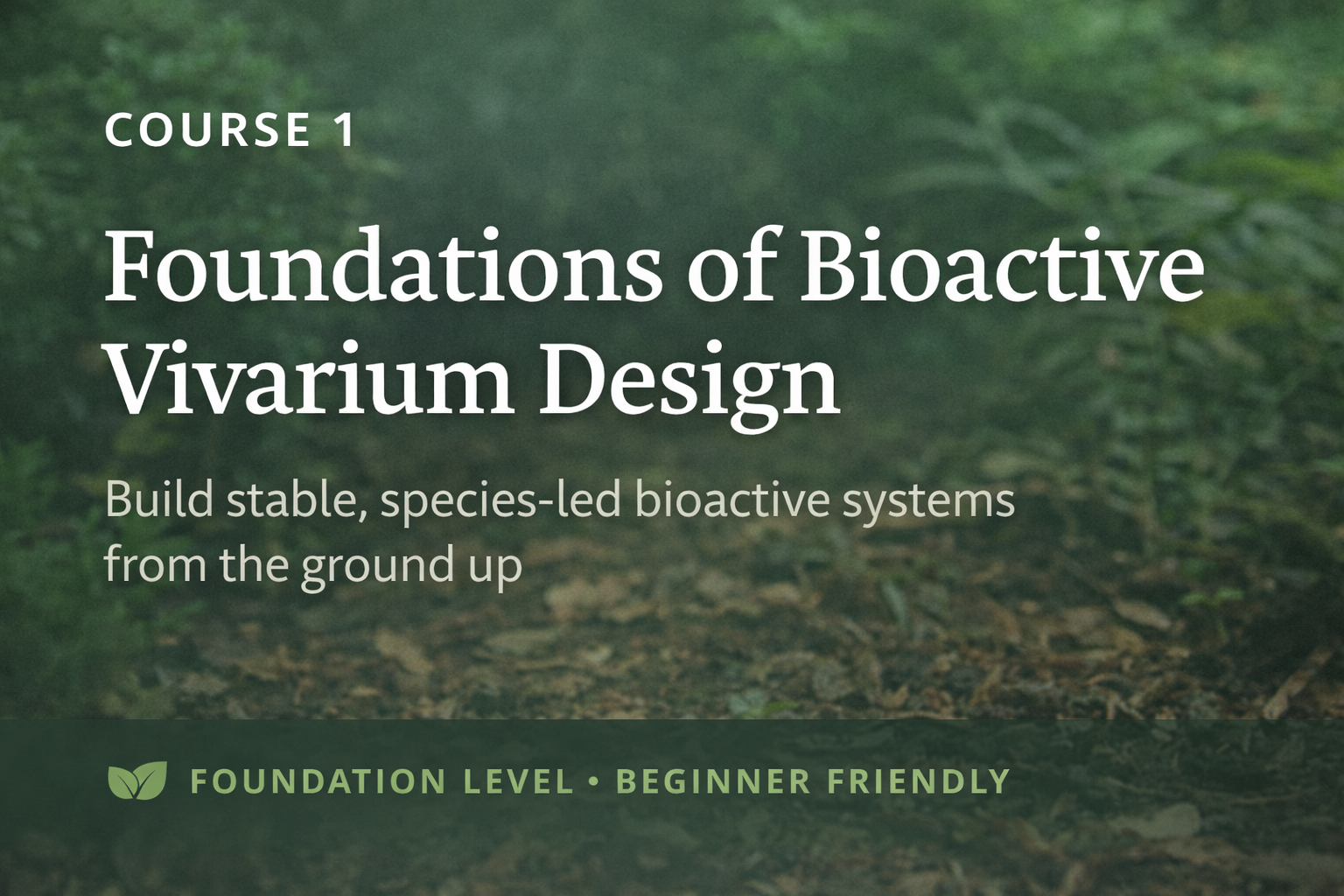 Course 1 Foundations of Bioactive Vivarium Design – beginner bioactive enclosure course