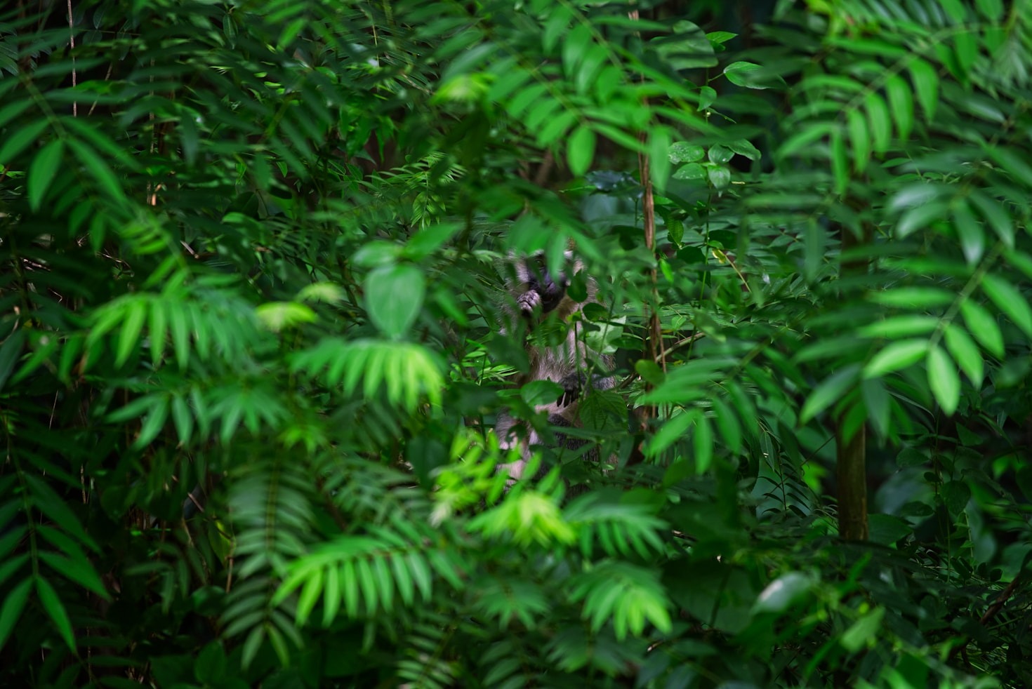 Step-by-Step Guide to Starting a Terrarium