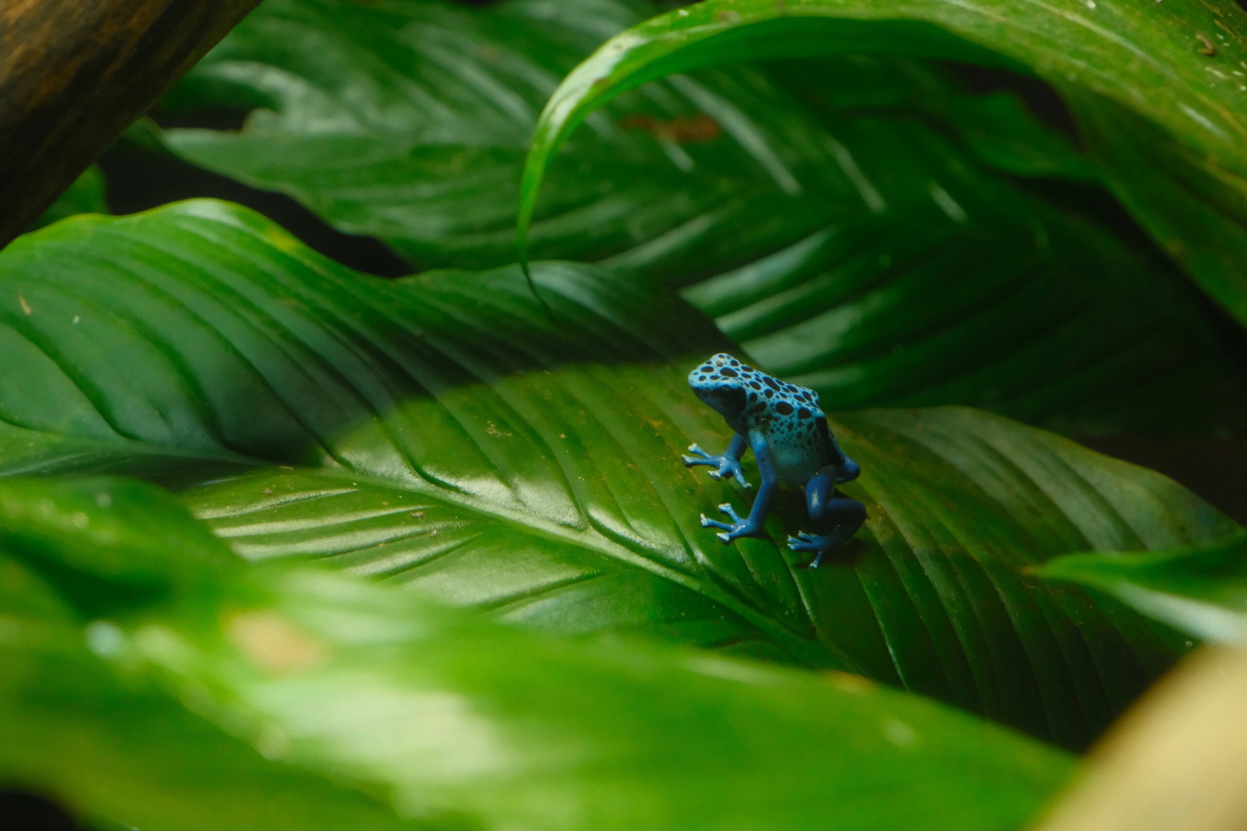 Hello World Featured Image